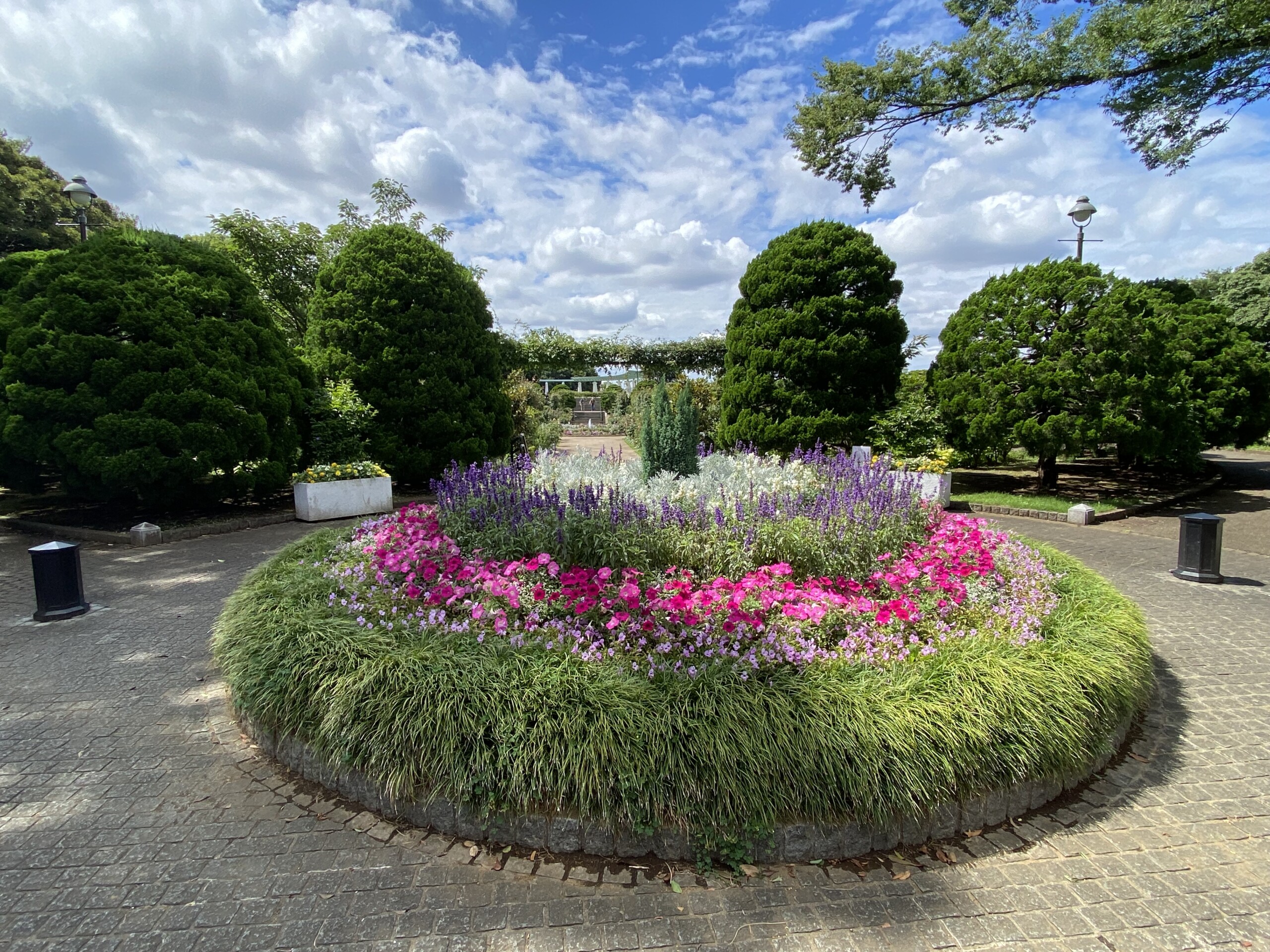 横浜山手の公園 香りの庭 港の見える丘公園内 イングリッシュ ローズの庭隣 横浜 みなとみらい線沿線街歩き