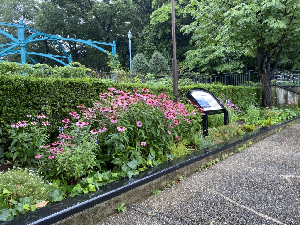 港町の四季 雨のフランス山から山下公園へ 元町中華街駅 元町口付近スタート 横浜 みなとみらい線沿線街歩き