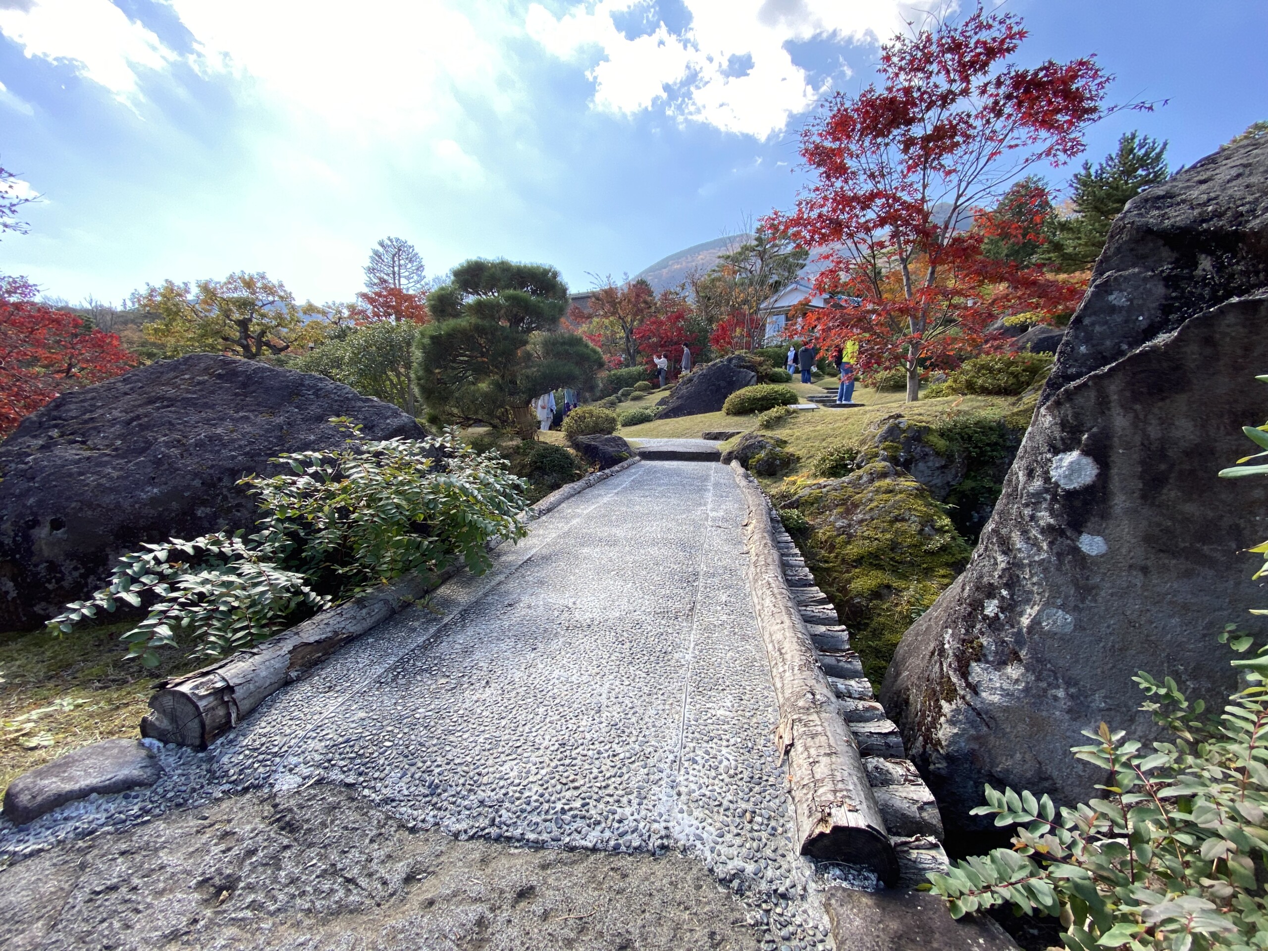 富士箱根の四季 箱根の紅葉めぐり 箱根美術館の秋 横浜 みなとみらい線沿線街歩き